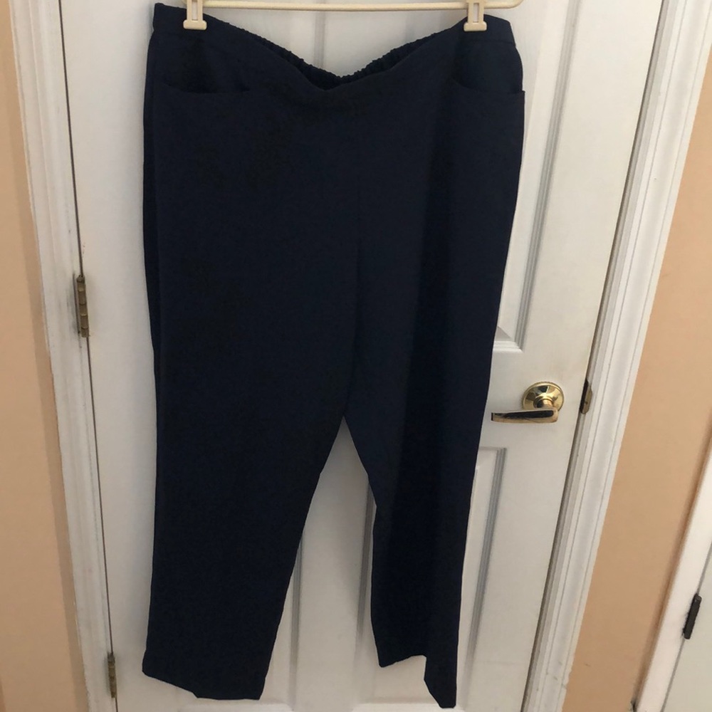 Laura Scott Woman Pull On Pants Sz 20W